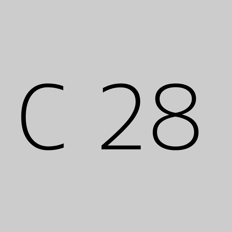 C 28 